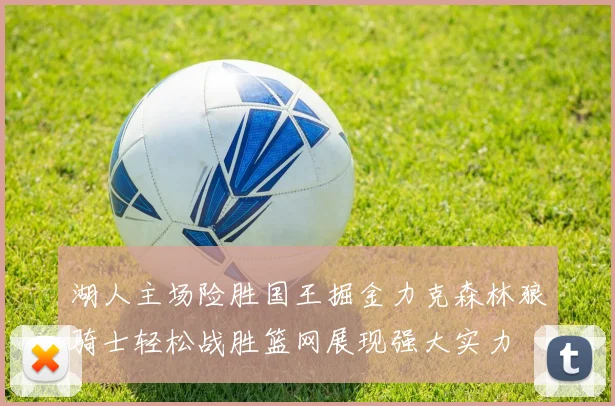 湖人主场险胜国王掘金力克森林狼骑士轻松战胜篮网展现强大实力