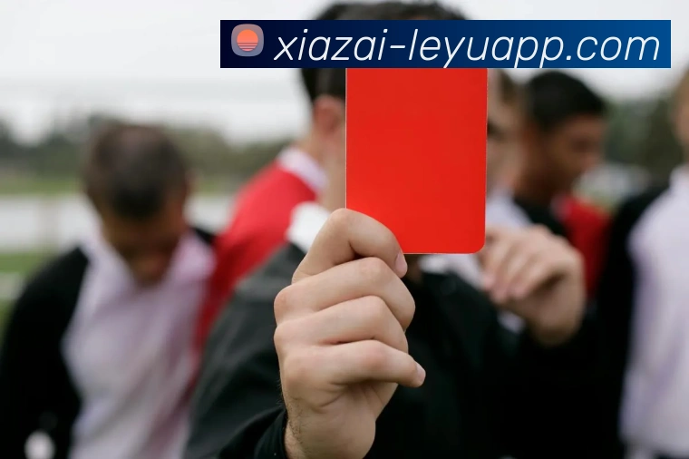 乐鱼体育APP 封面图